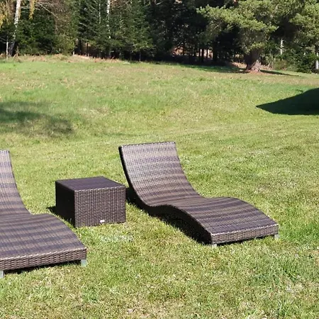 Le Geai Des Chenes Holiday home Dabo