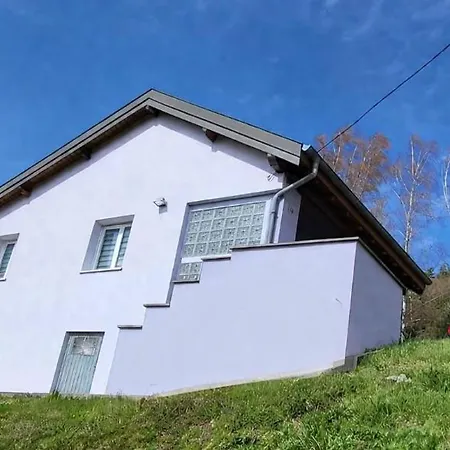 Le Geai Des Chenes